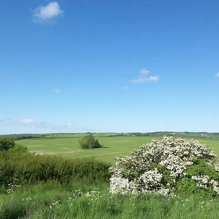 Appartement Ferienhaus Distelfink Ferienwohnung 02 Groß Zicker